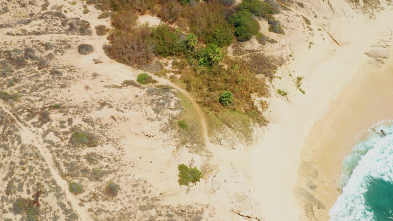 Top-down view at Dreams Los Cabos showing pale beach sand, brown and green vegetation clusters, a narrow sandy track, ocean foam on the right, and no visible people.