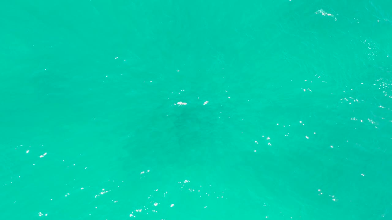 A faint shark form sits below the rippled turquoise water at Dreams Los Cabos, with no beach, boats, or visible people in frame.