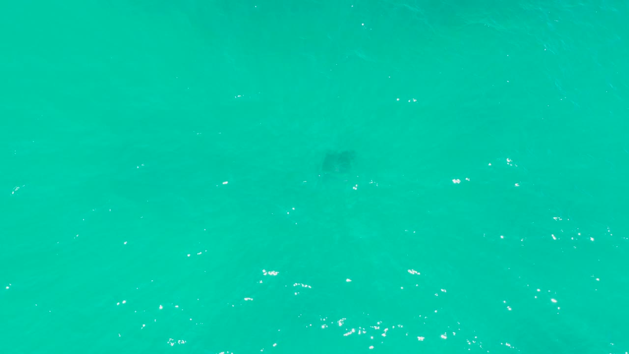 Overhead view at Dreams Los Cabos showing a faint dark stingray shape beneath turquoise water with scattered white surface flecks and no visible people.
