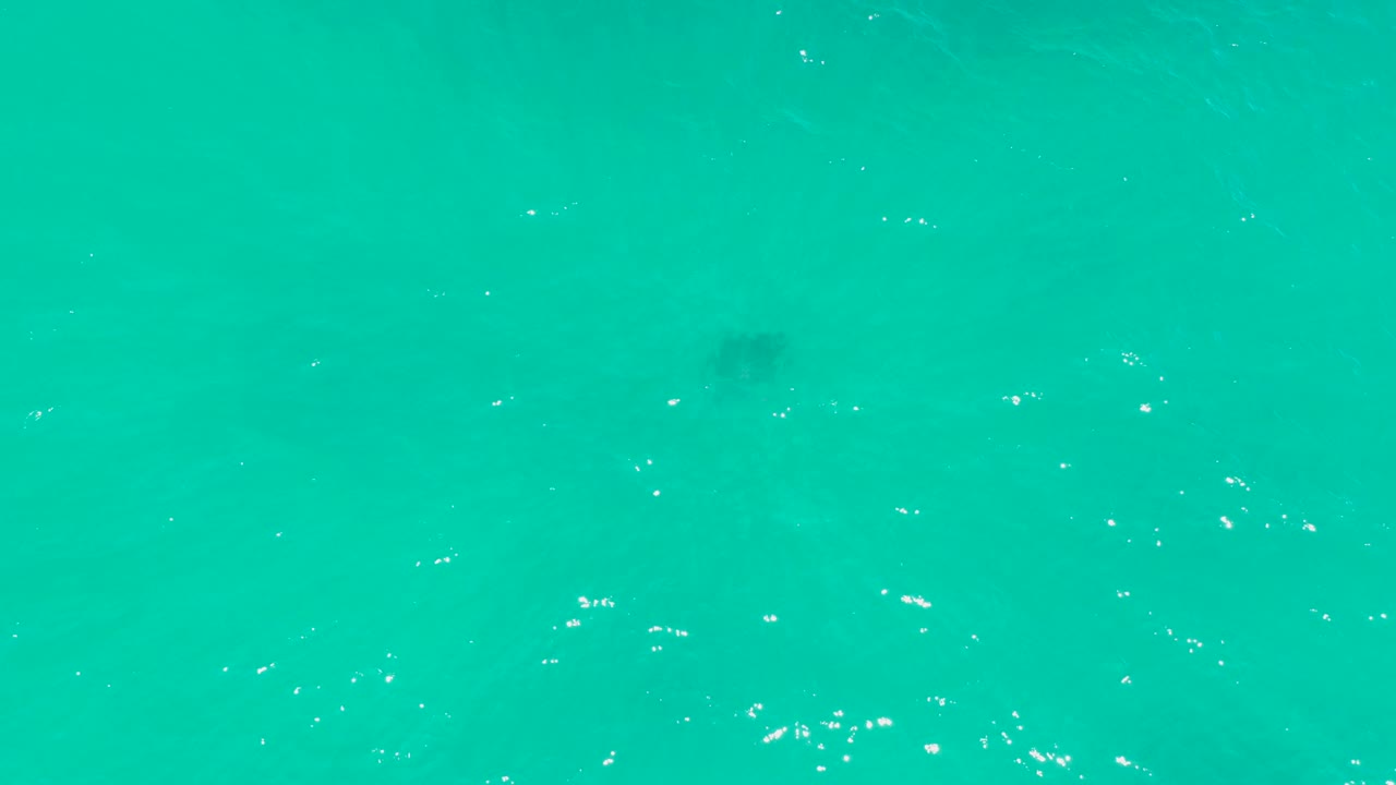 The second frame keeps the camera overhead as small white bubbles and glints cross the turquoise water near a dim stingray silhouette, with no visible people.