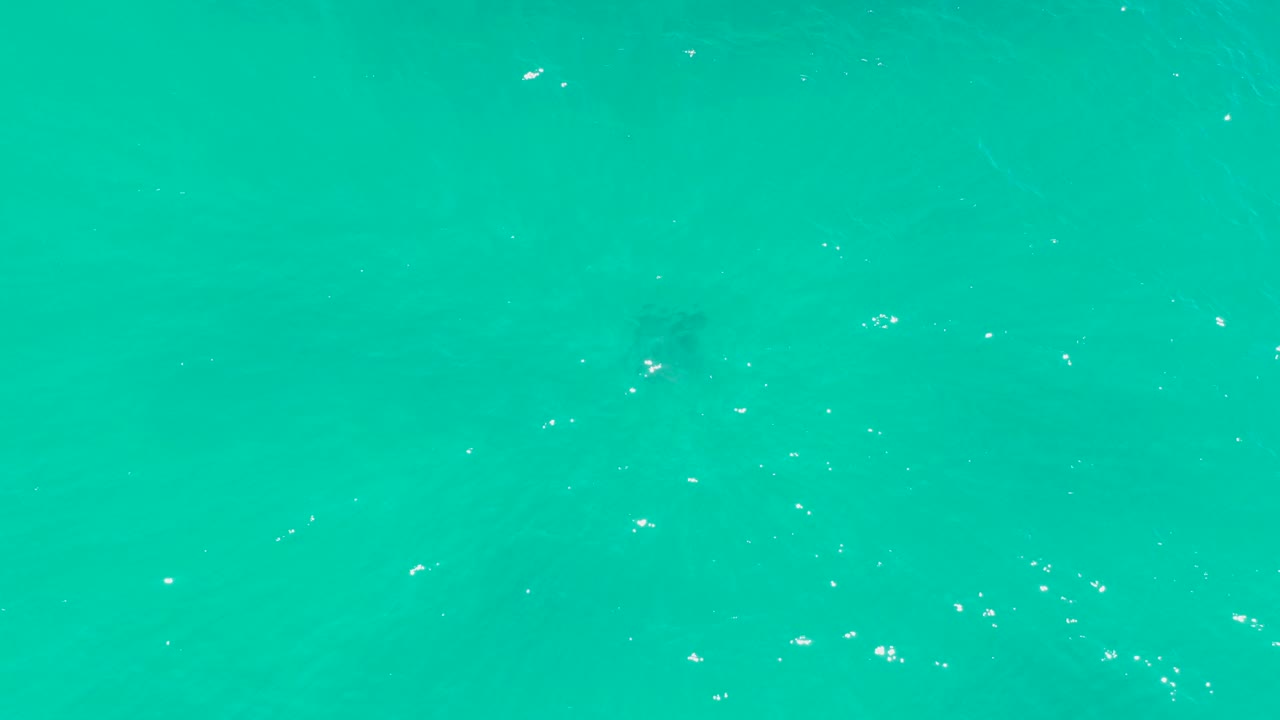 At Dreams Los Cabos, bright turquoise water fills the frame while white foam specks sit above a faint underwater stingray form, with no visible people.