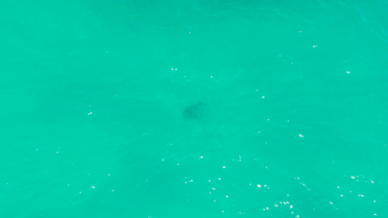Stingray shape under turquoise water with scattered white bubbles