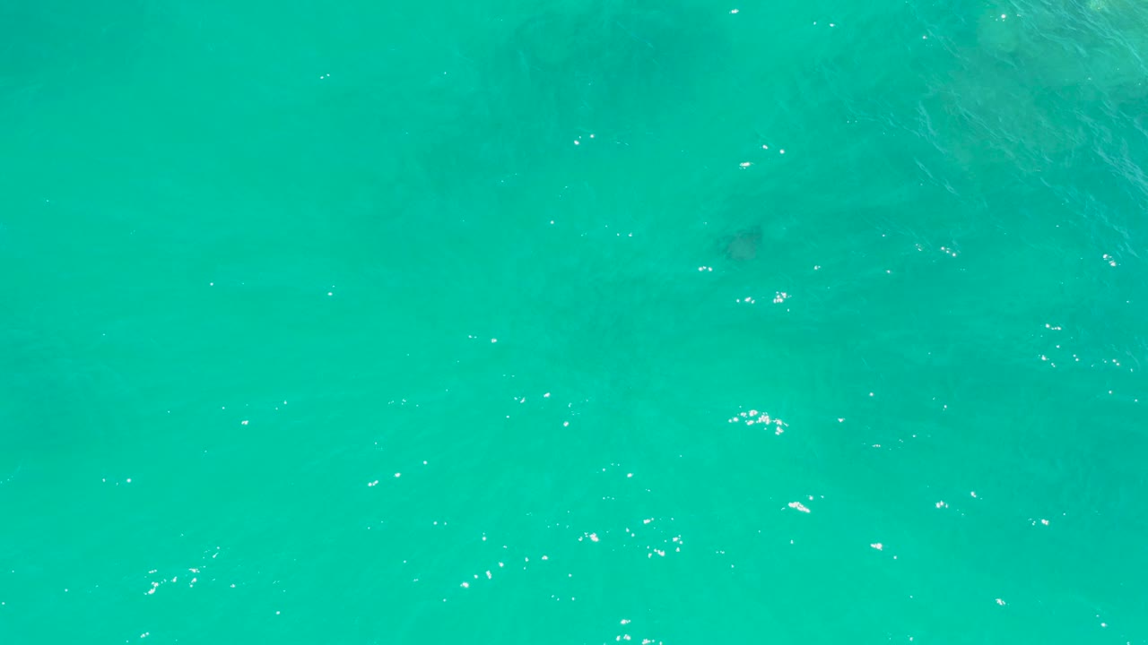 Sea turtle faintly visible beneath turquoise ocean water.