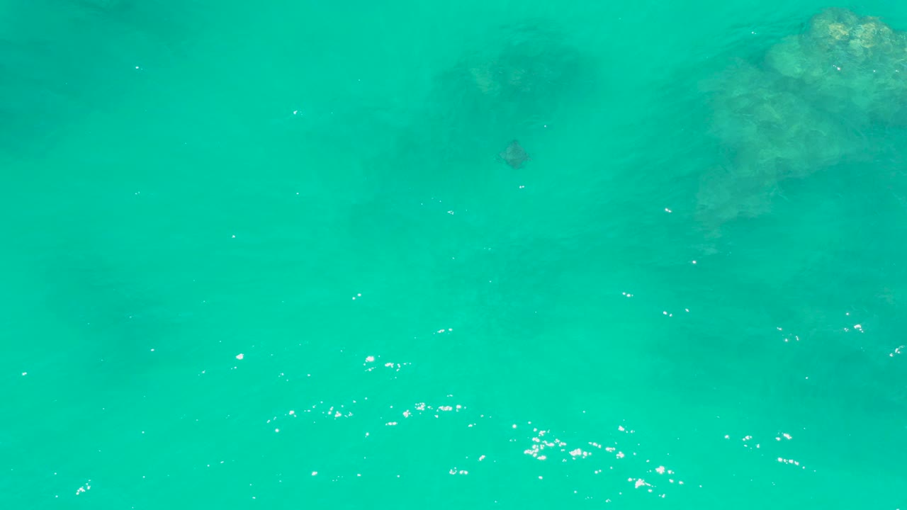 Overhead view of clear turquoise water at Dreams Los Cabos with submerged rocks near the upper right, a small dark stingray shape below them, bright surface flecks, and no visible people.