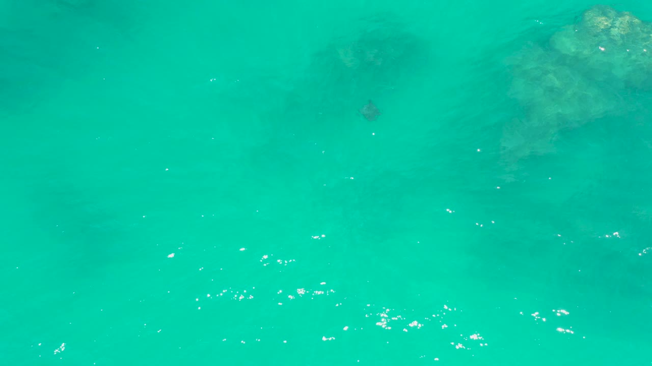 Clear blue-green water with underwater rock patches and a stingray below the surface.