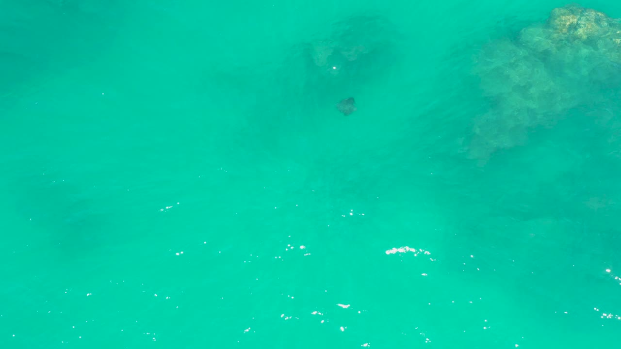 Turquoise ocean water at Dreams Los Cabos contains a small dark stingray near the upper middle, submerged rock forms toward the right, scattered white surface sparkle, and no visible people.