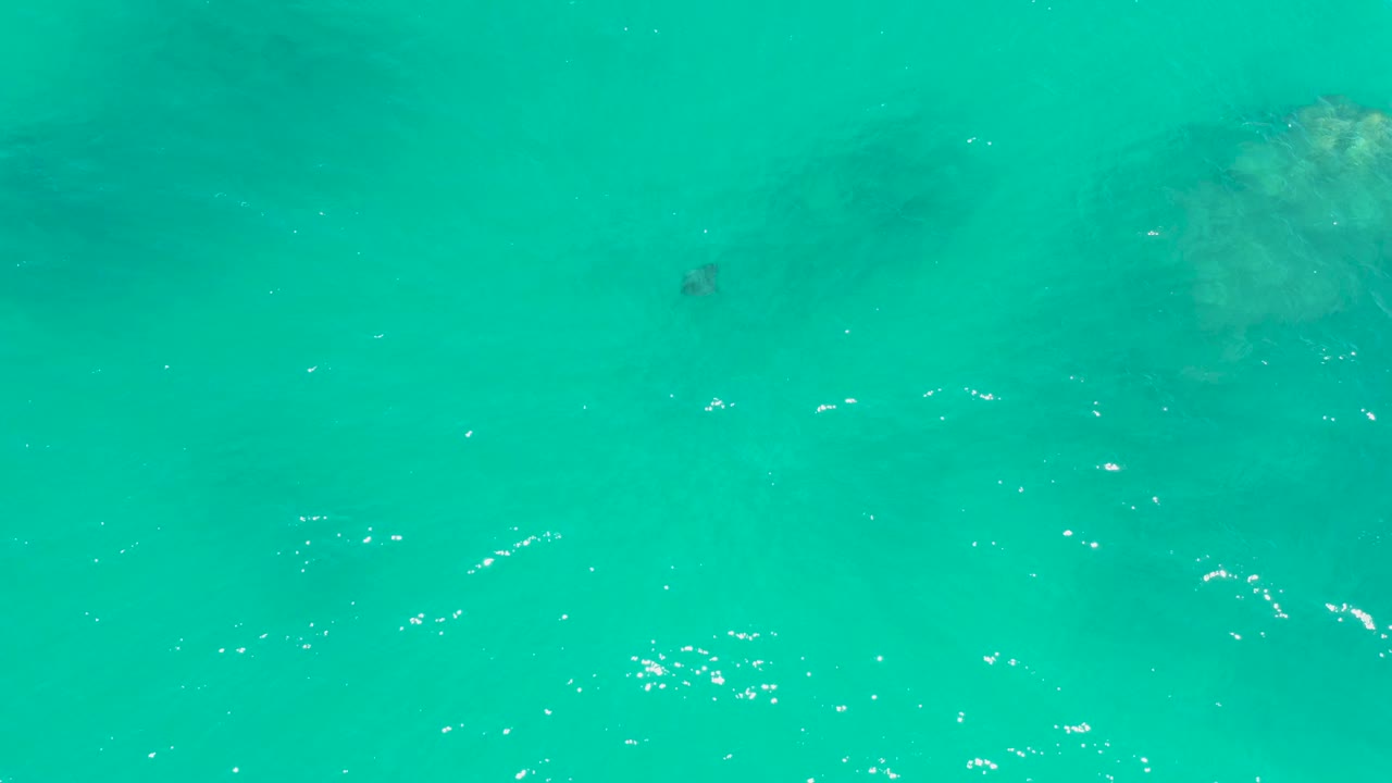 Clear teal ocean surface at Dreams Los Cabos, with small bubbles, a faint dark marine shape below the water, and no visible people.