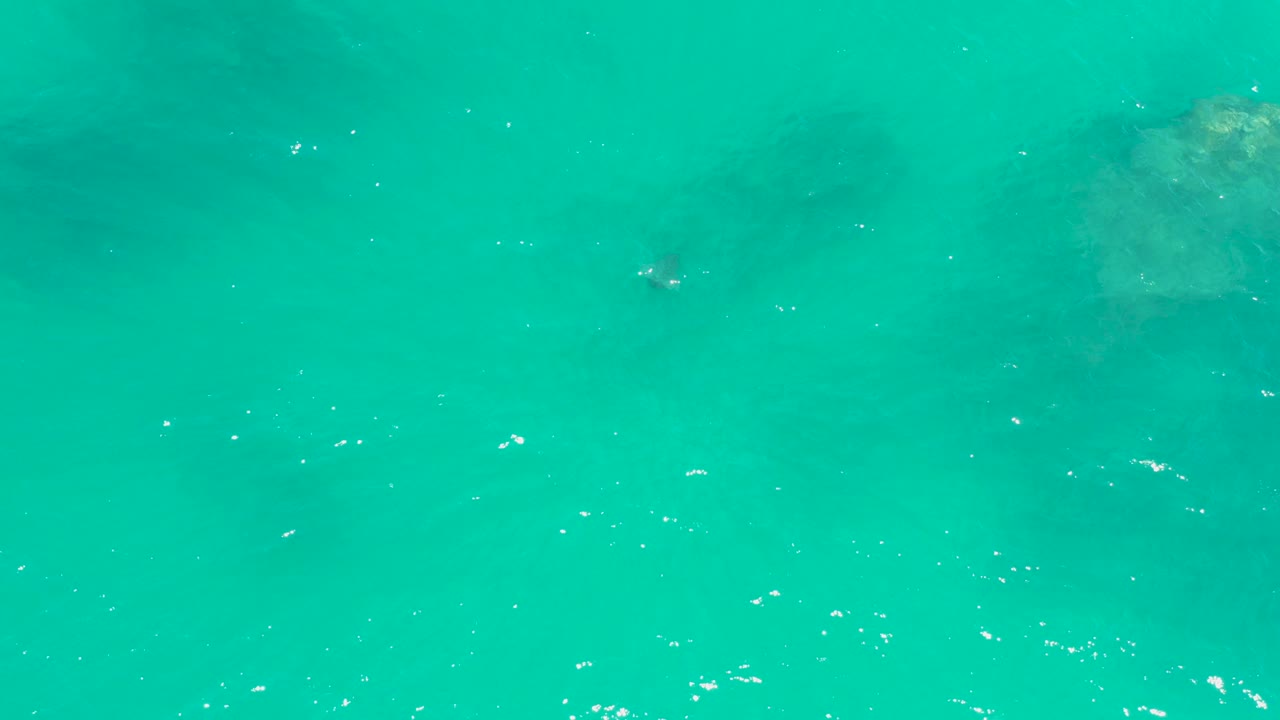 Turquoise ocean at Dreams Los Cabos with scattered white reflections, a pale submerged rock near the upper frame, and no visible people.