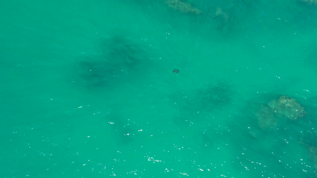 Overhead water with submerged rocks and small dark marine life