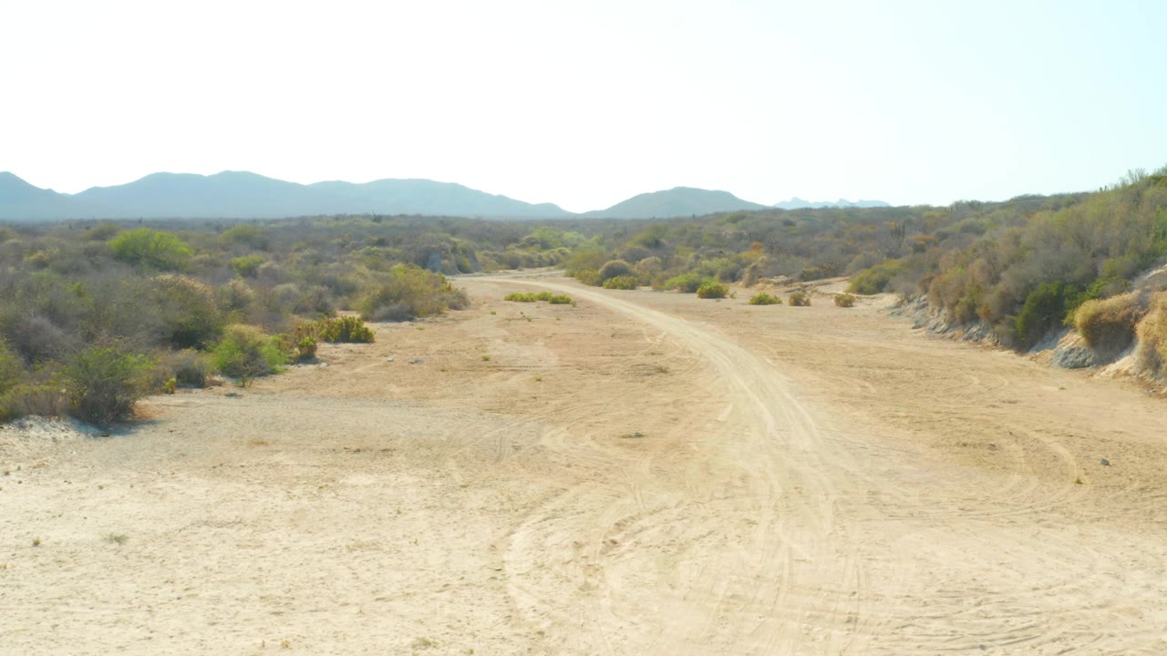 Empty desert road running between sparse bushes under clear sky.