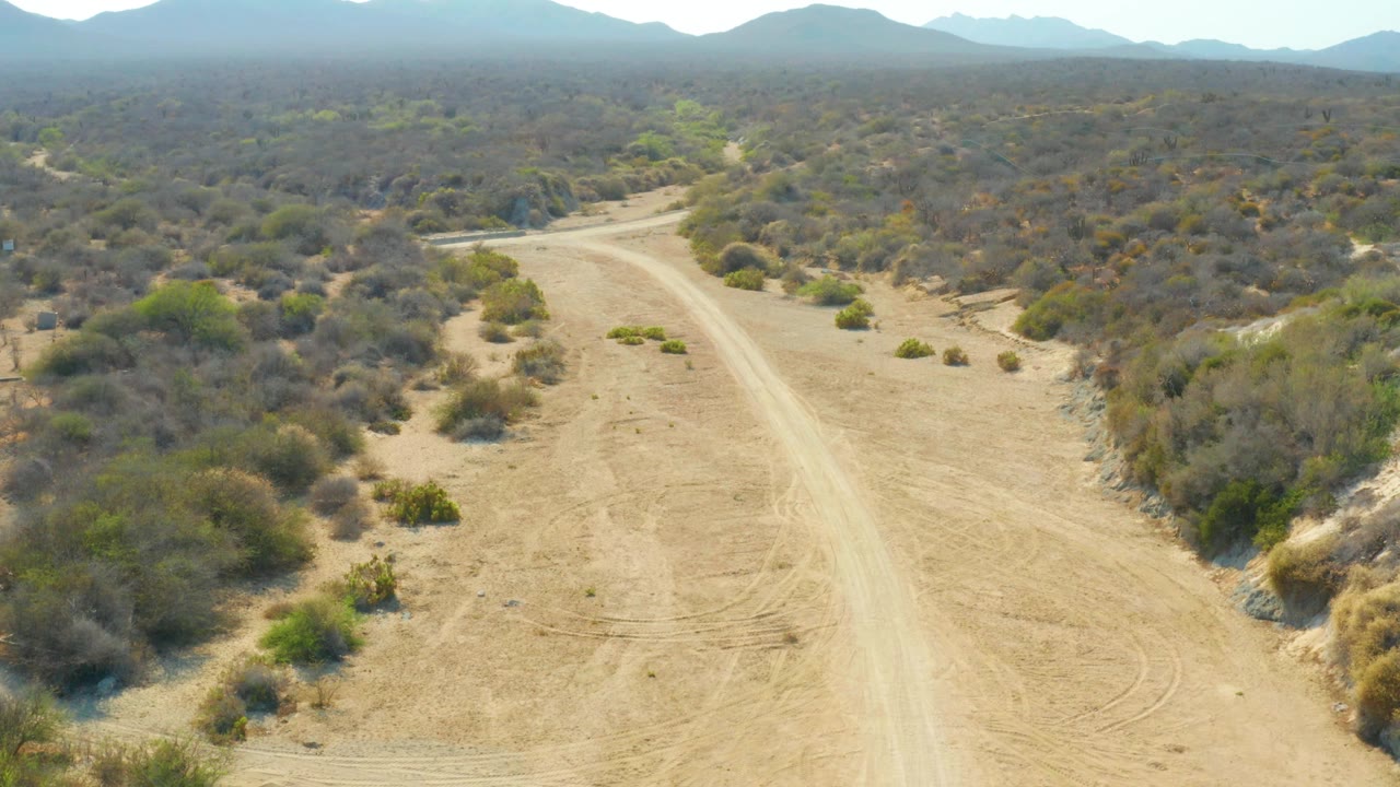 Dirt road bends through sandy desert terrain bordered by shrubs.