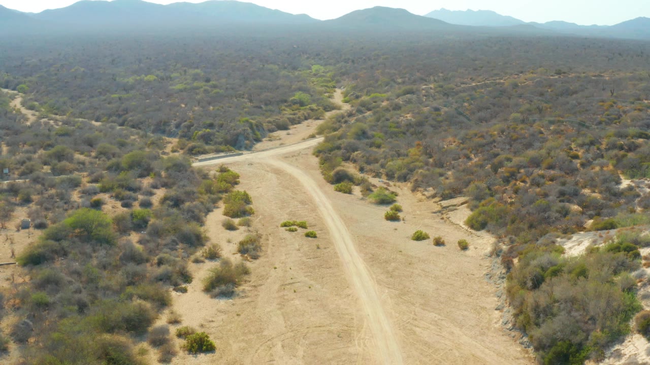 Aerial frame in Los Frailes, Los Cabos, Baja California Sur, showing the dirt road curving slightly right through sparse brown scrub, with a few greener bushes near the road and no visible people.