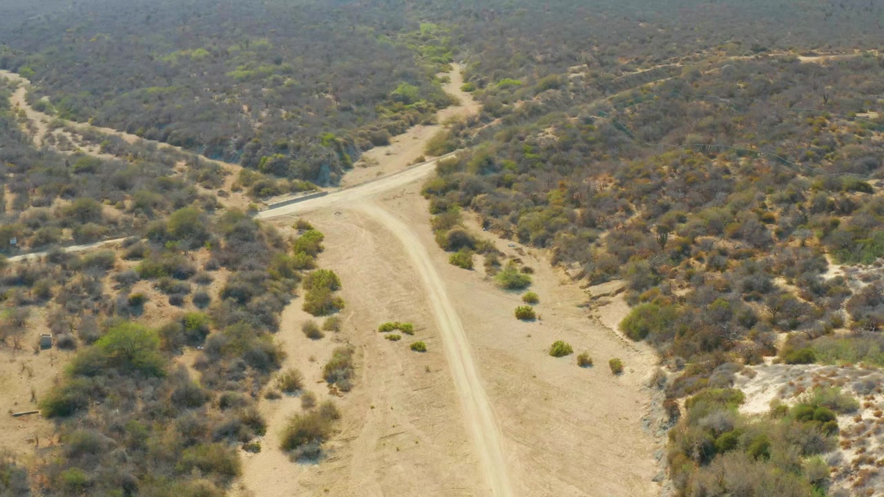 Aerial frame over Los Frailes, Los Cabos, Baja California Sur, showing a pale dirt road curving through brown scrub and scattered green shrubs, with no visible people.