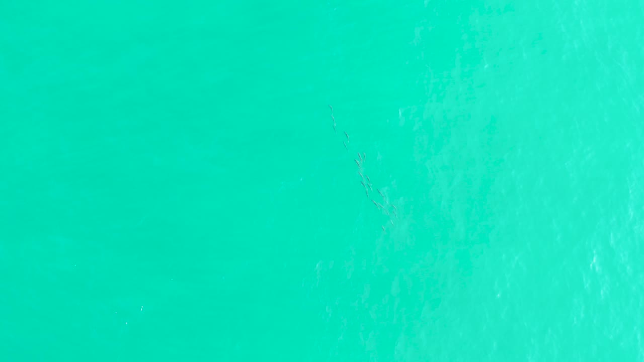 Turquoise ocean surface with faint white foam texture