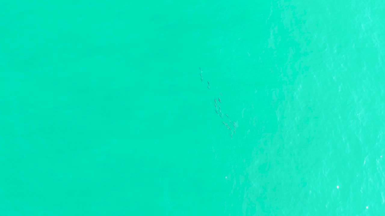 Open turquoise ocean water in Los Frailes fills the frame, with faint dissipating white foam visible through the surface texture and no visible people.