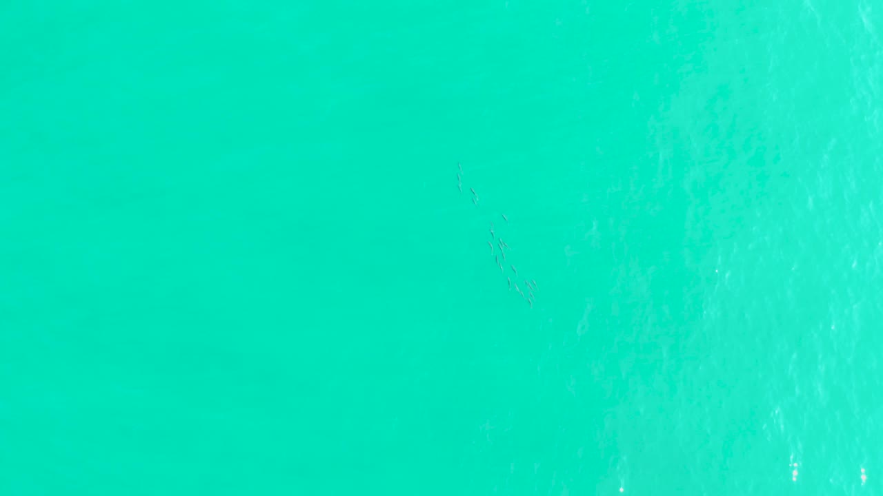 A high-angle view of Los Frailes turquoise water shows light foam traces and subtle tonal bands across the sea surface, with no visible people.