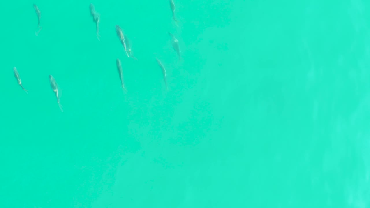 Sparse fish shapes sit beneath transparent turquoise water in Los Frailes, with pale underwater texture visible and no visible people.