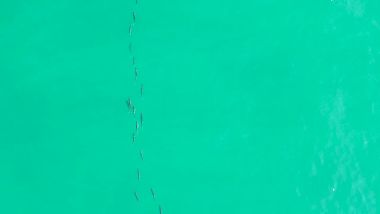 A thin vertical fish line runs through turquoise water in Los Frailes, Baja California Sur, with a patch of bright surface glare toward the right and no visible people.