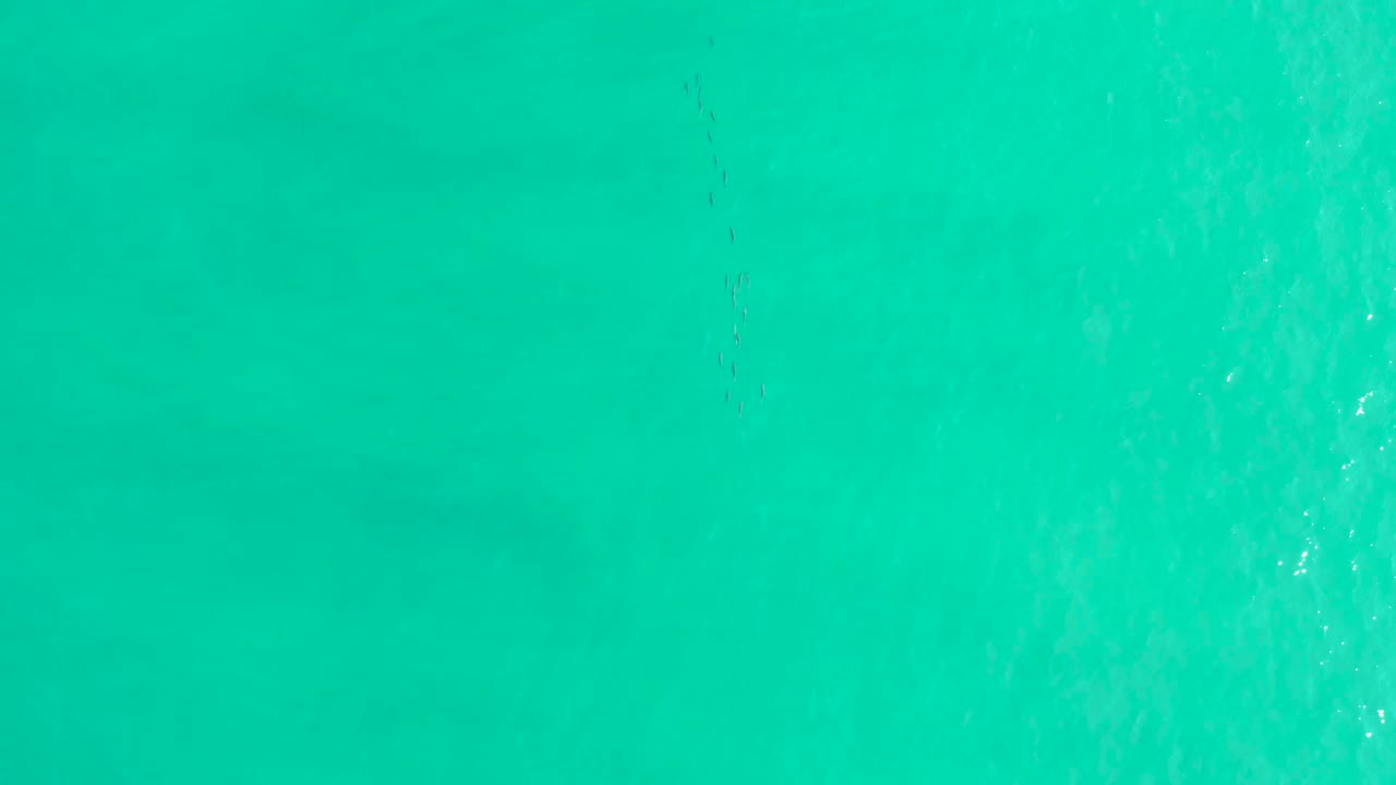 Overhead turquoise ocean water in Los Frailes, Los Cabos, with faint dark fish shapes near the center-left and no visible people.