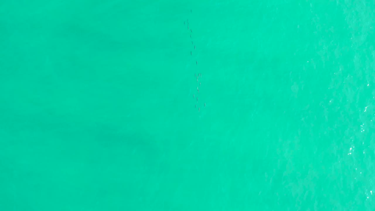 Aerial view of clear turquoise water in Los Frailes, Los Cabos, with faint fish marks aligned vertically and no visible people.