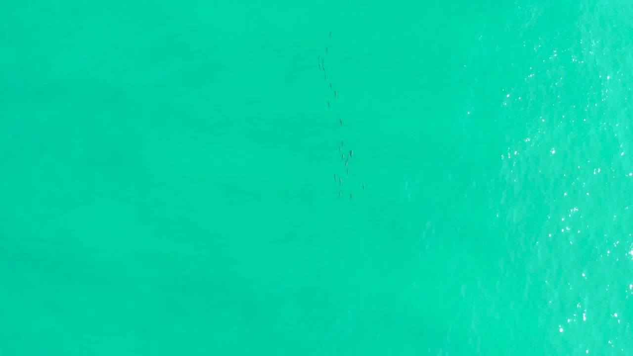 Overhead ocean water with faint fish and white foam near the right edge.