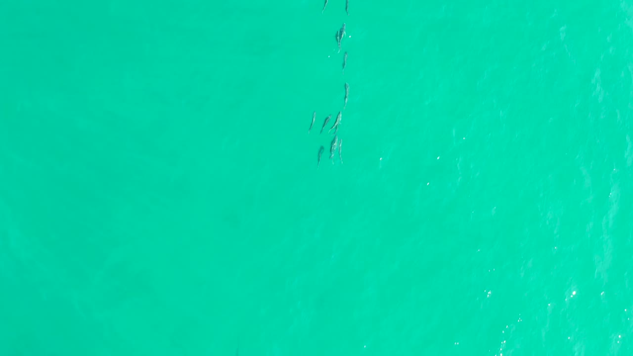 Overhead view of turquoise ocean water near Los Frailes with a small dark school of fish near the upper center and no visible people.