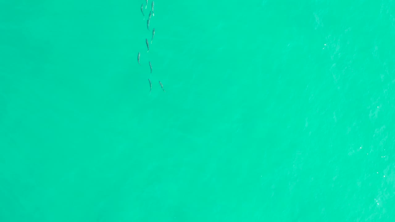 A small group of dark fish appears near the upper left area of clear turquoise water in Los Frailes, Baja California Sur, with no visible people.