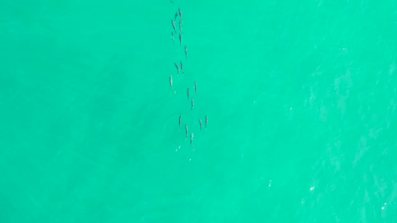 Small seabirds fly near the upper left of turquoise ocean water in Los Frailes, Baja California Sur, with no visible people.