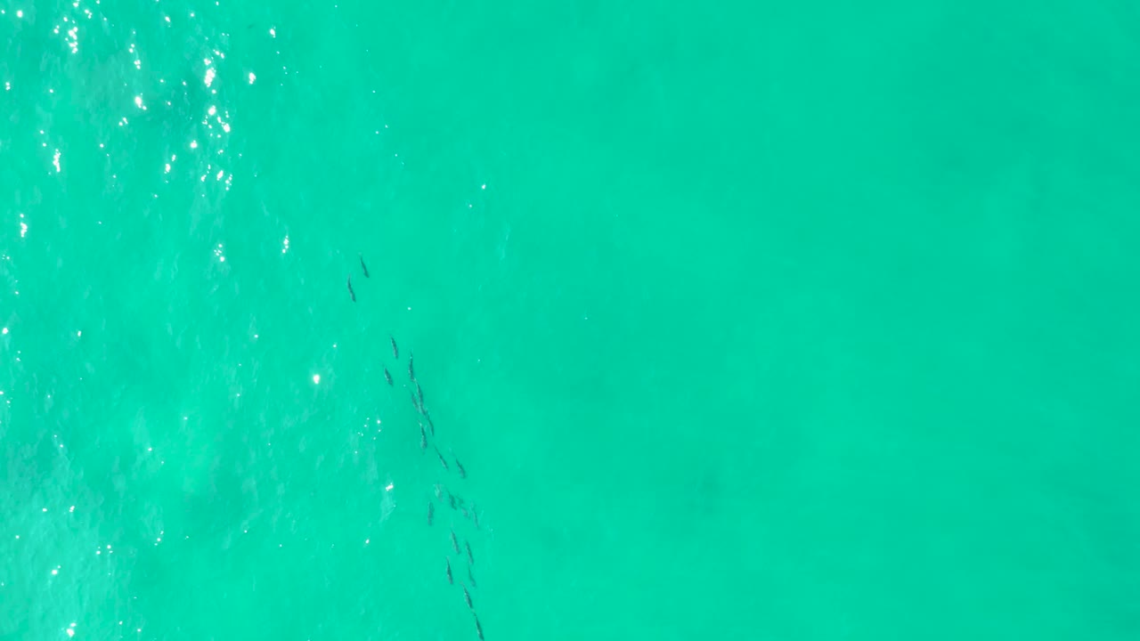 Overhead aerial frame from Los Frailes, Baja California Sur showing turquoise shallow ocean, bright surface reflections on the left, and small swimmers near the upper left.