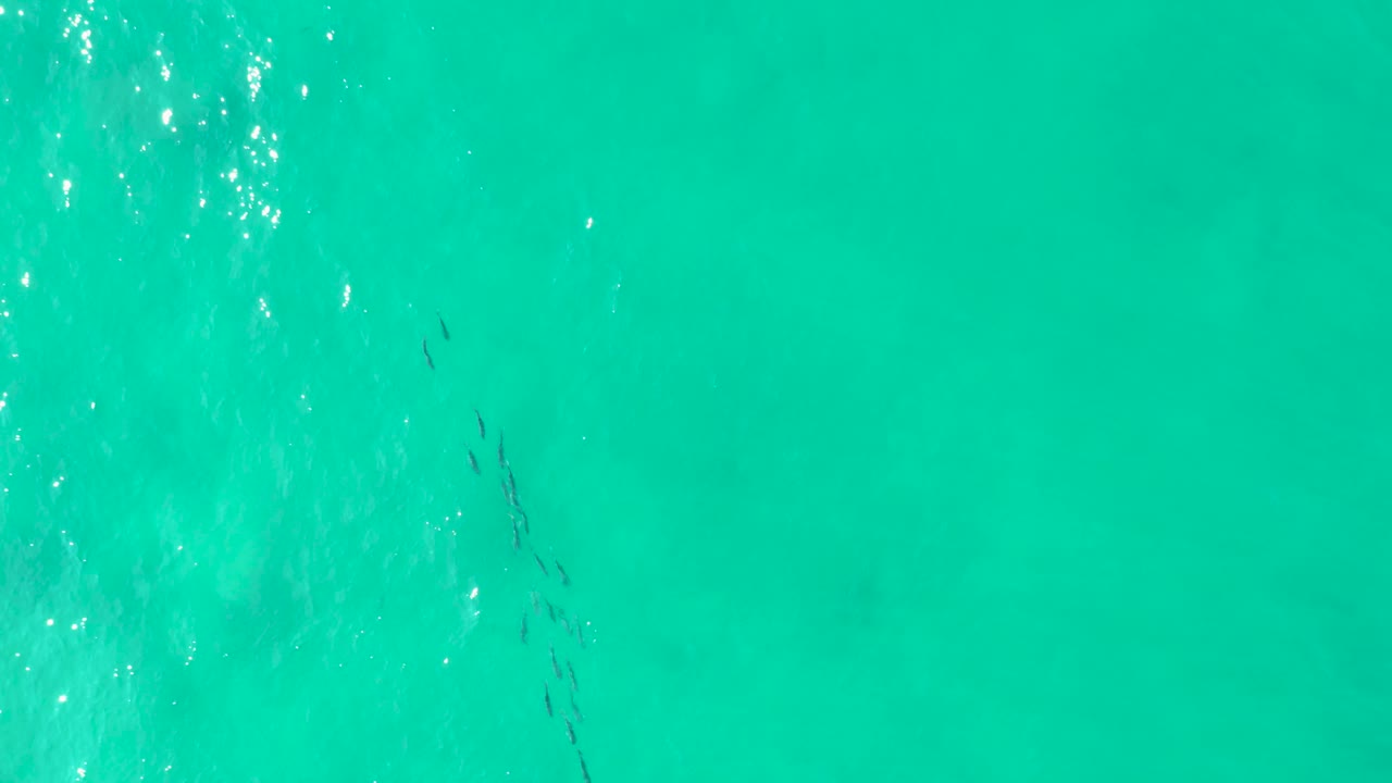 Clear turquoise water with swimmers near the center-right.