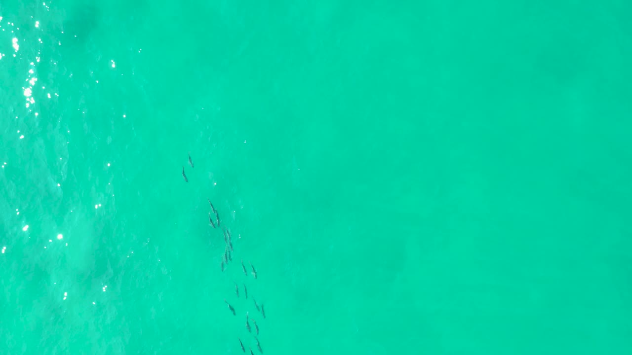 Top-down Los Frailes ocean frame with several small swimmers clustered slightly right of center and pale sun reflections breaking across the upper left water.