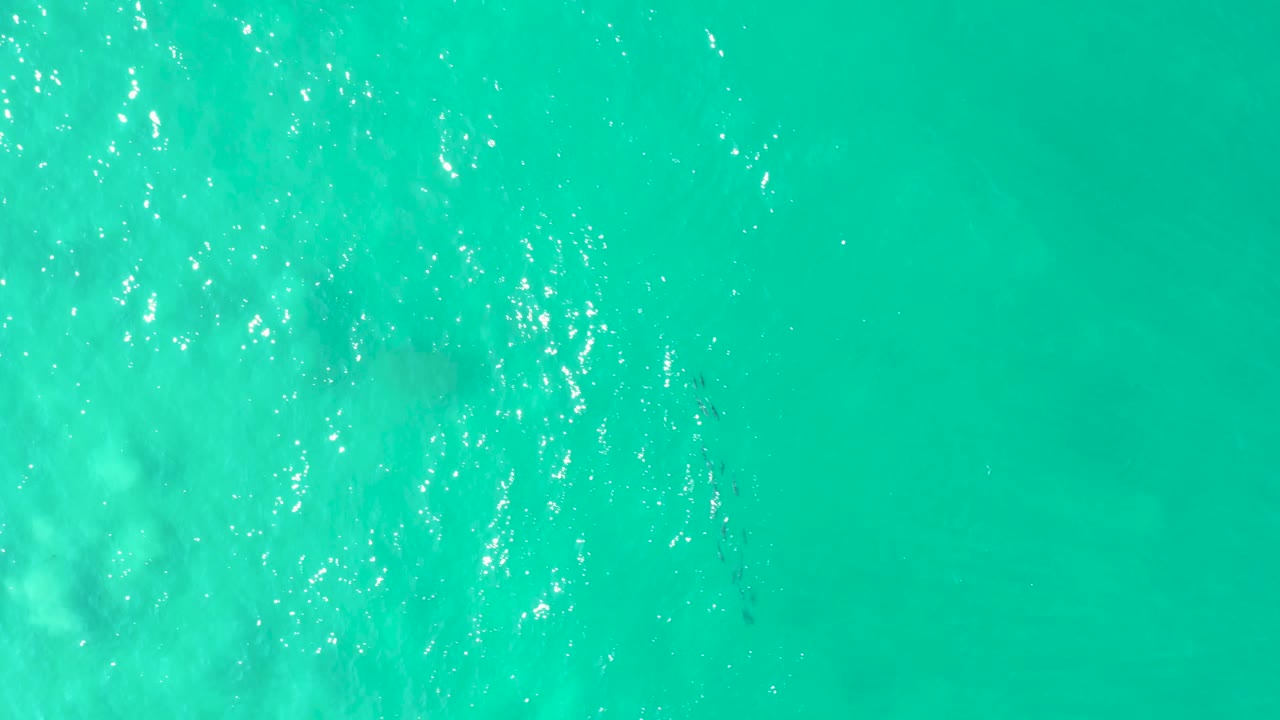 Shallow turquoise water with bright reflections and fish