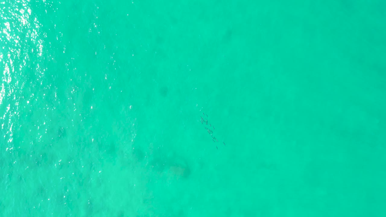 Overhead turquoise ocean surface with sunlight ripples.