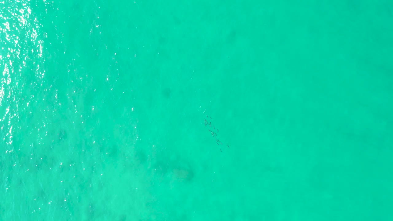 Aerial frame over Los Frailes turquoise water, with a brighter vertical streak of sunlit ripples near the left side and soft seabed forms visible underneath, no visible people.