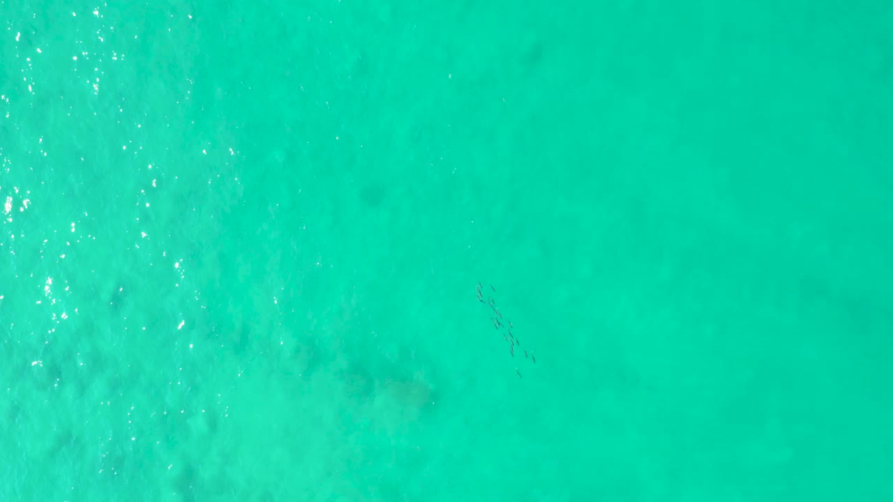 Top-down view of clear turquoise water in Los Frailes, with a bright ripple column along the left edge, muted seabed texture below, and no visible people.