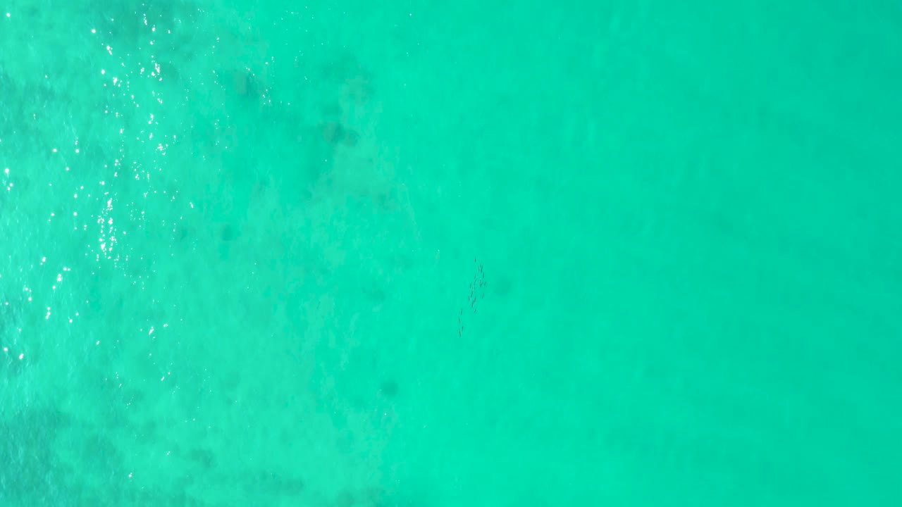 Top-down aerial view of turquoise ocean water in Los Frailes, Baja California Sur, with pale seabed texture, faint darker patches, and no visible people at the opening moment.
