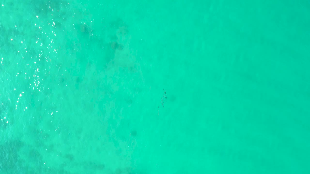 Clear turquoise ocean water with bright surface reflections