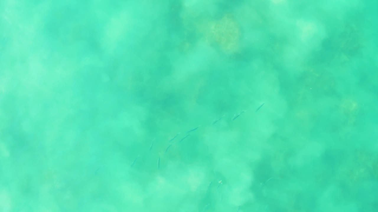 Top-down view of clear turquoise water in Los Frailes, Baja California Sur, with faint small fish shapes under the surface and no visible people.