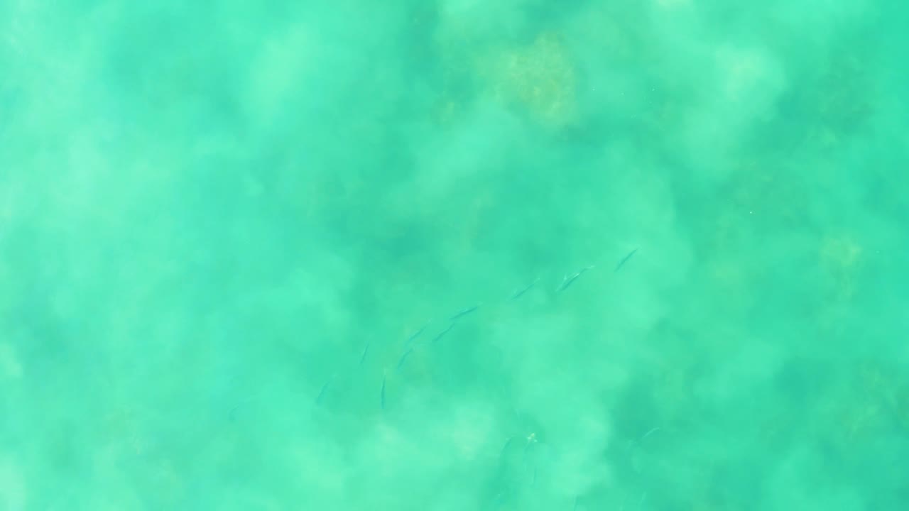Turquoise ocean surface with subtle fish shapes and cloudy underwater texture.