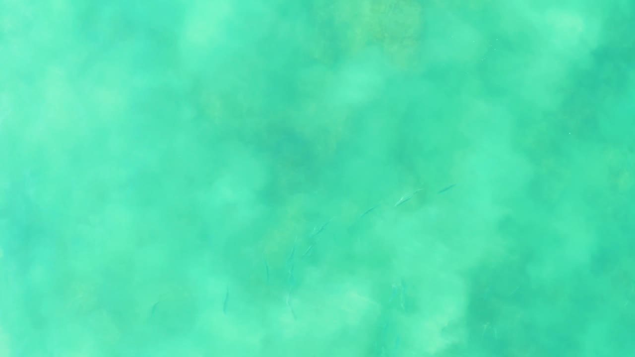 Top-down water view in Los Frailes, Baja California Sur, with small fish scattered through green-blue water and no visible people.