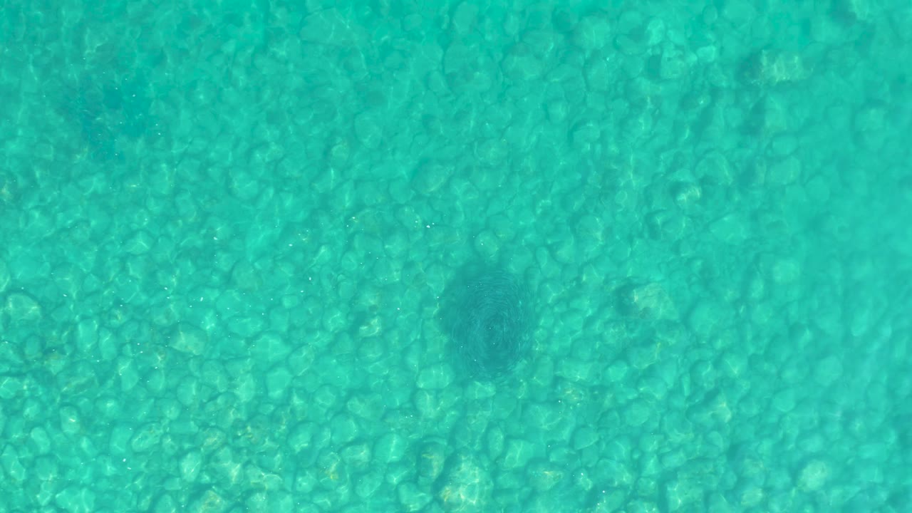 Top-down view of clear turquoise water over the rocky seabed at Los Frailes, with a dark fish-like shape near the lower left area and no visible people.