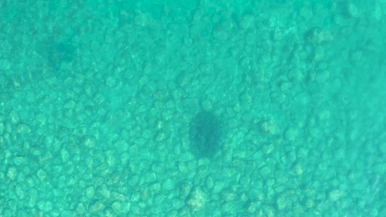 A top-down Los Frailes water view shows scattered rocks beneath turquoise water, with the dark fish-like shape slightly right of center and no visible people.
