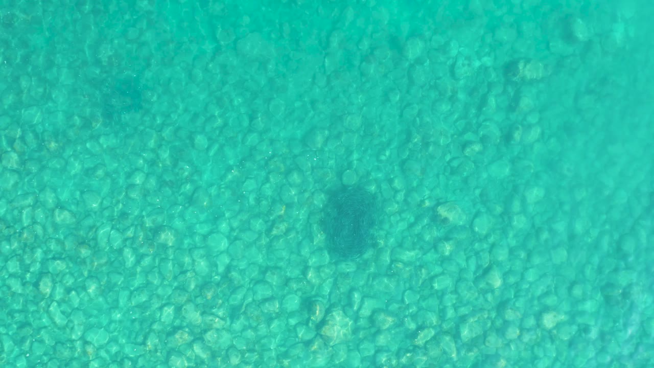Clear blue-green water over stones with a dark fish shape.