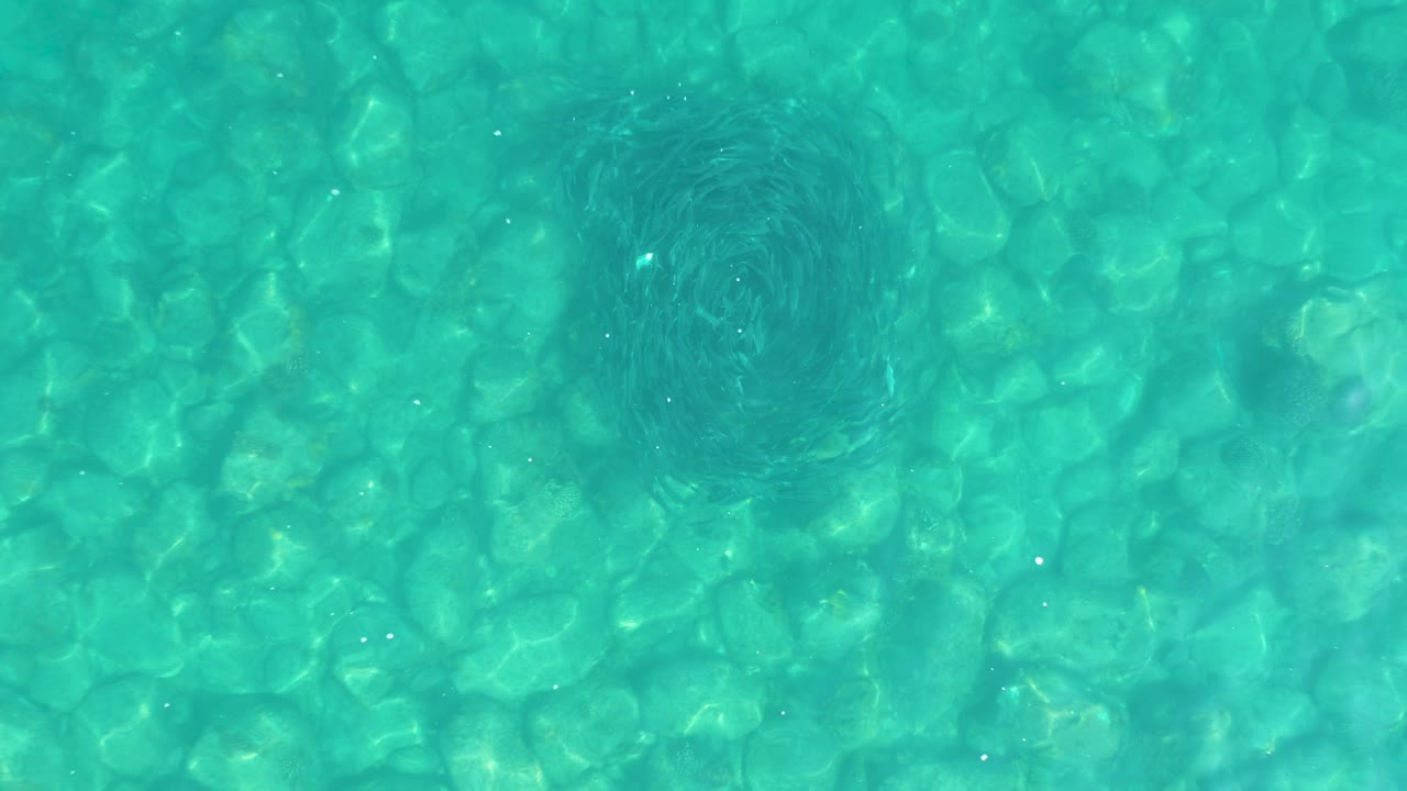 Overhead view of clear turquoise pool water in Los Frailes, Los Cabos, with a patterned bottom, a dark soft shadow near the upper left, and no visible people.