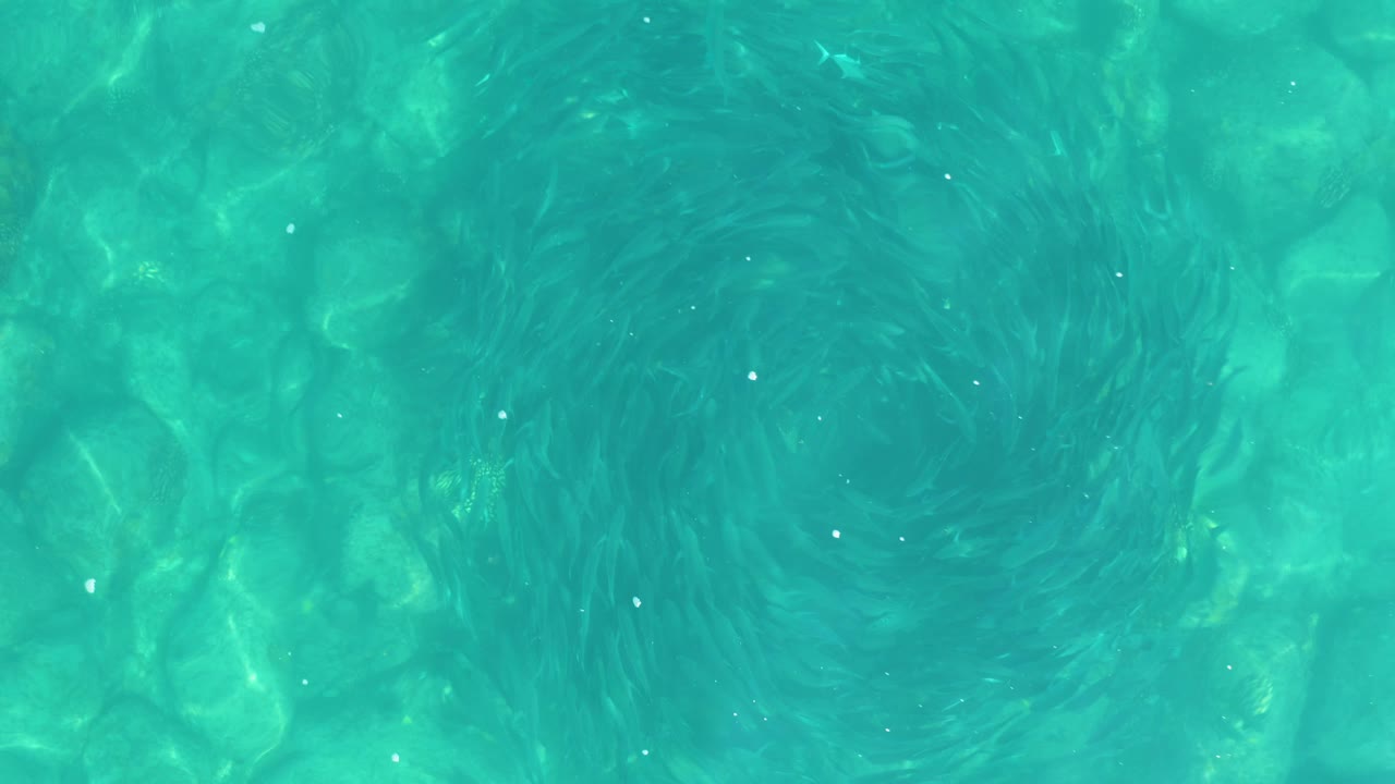 Clear turquoise pool water in Los Frailes shows the circular swirl more defined over the patterned bottom, with no visible people.