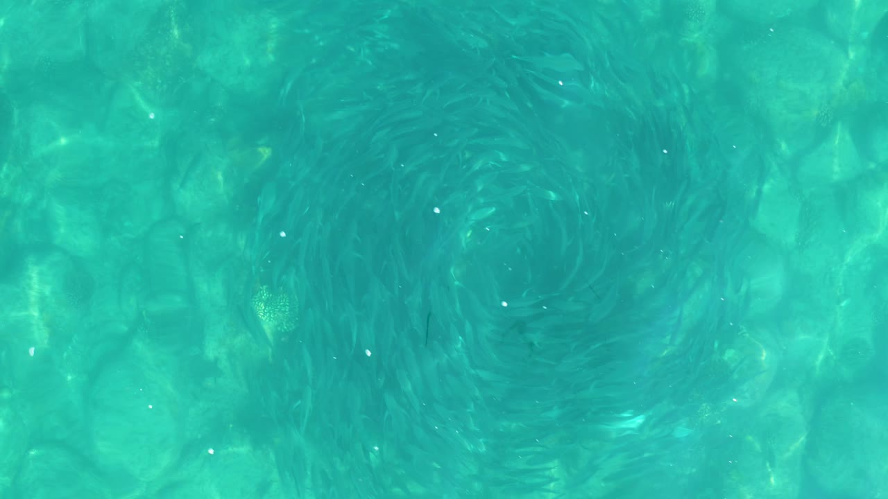Top-down Los Frailes pool detail with bright teal reflections around a darker rotating patch and no visible people.