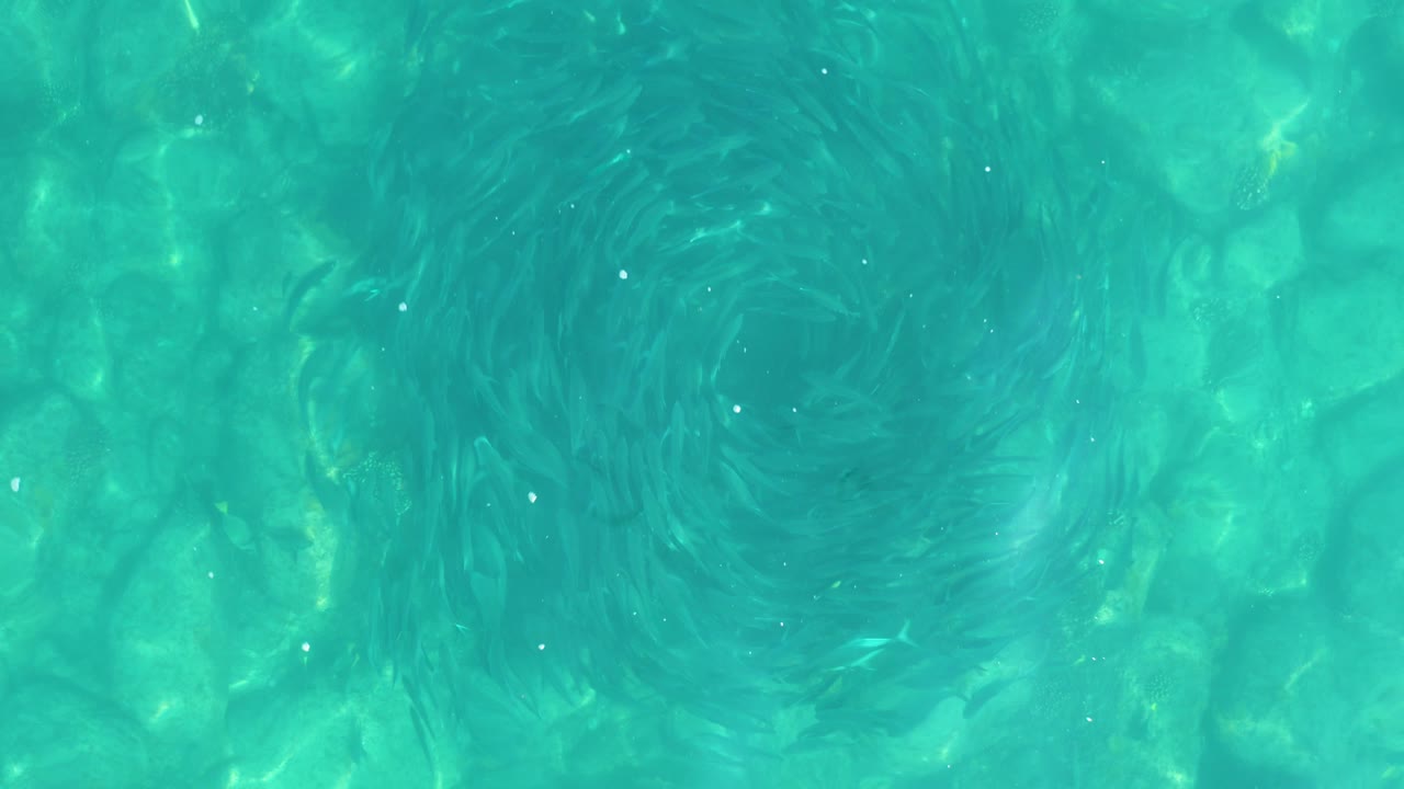 Transparent turquoise water reveals the patterned pool bottom beneath a broad vortex shape in Los Frailes, with no visible people.