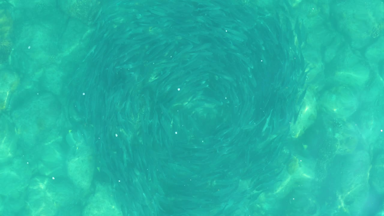 Top-down frame from Los Frailes, Los Cabos, with clear aqua pool water, a darker circular swirl slightly right of center, and no visible people.