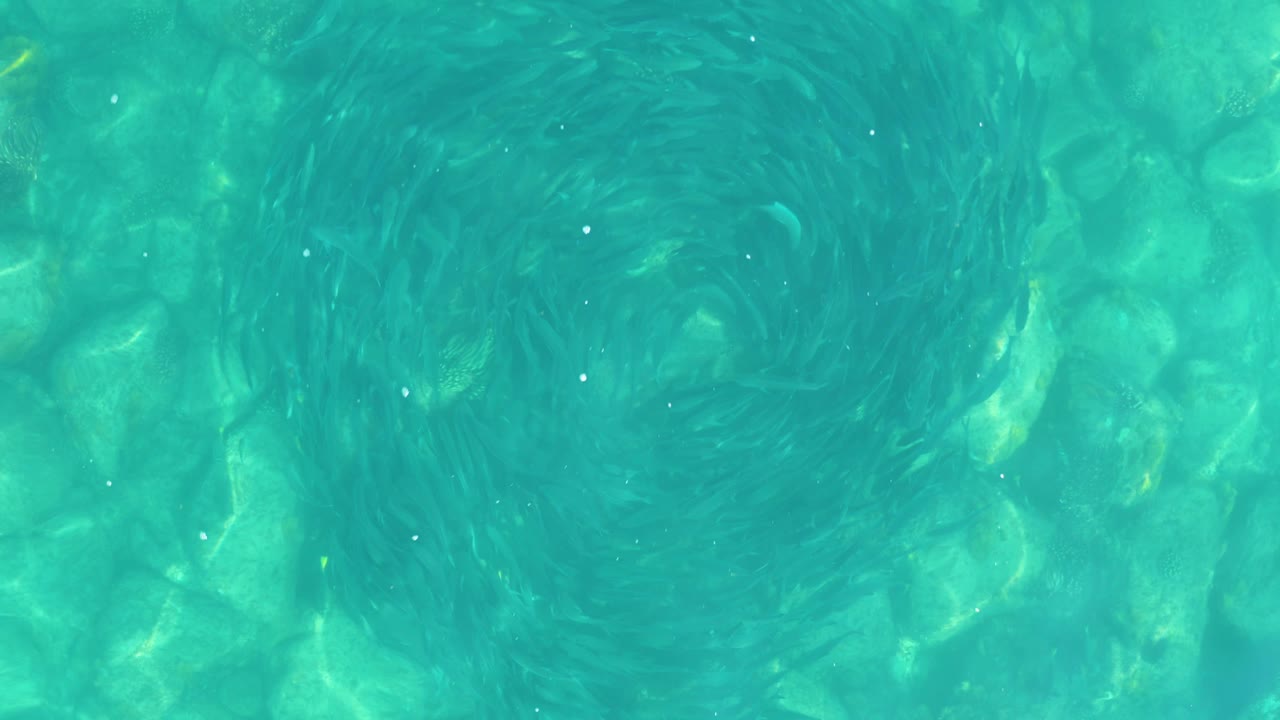 Overhead Los Frailes pool-water detail with a broad circular vortex in turquoise water, bright highlights, submerged texture, and no visible people.