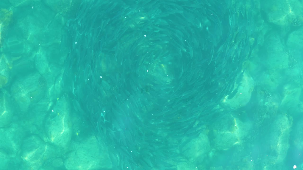 Top-down view in Los Frailes, Los Cabos, where green-blue pool water forms a softer swirl over pale underwater texture with no visible people.
